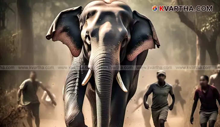 Worker injured during elephant attack in Aralathu