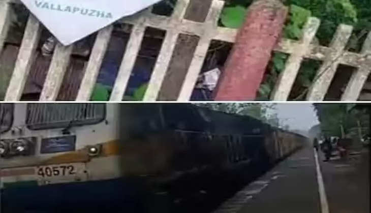 Ayurveda doctor suspected that rat bitten on Nilambur-Shoranur passenger train, Ayurveda Doctor, Young Woman, Bitten