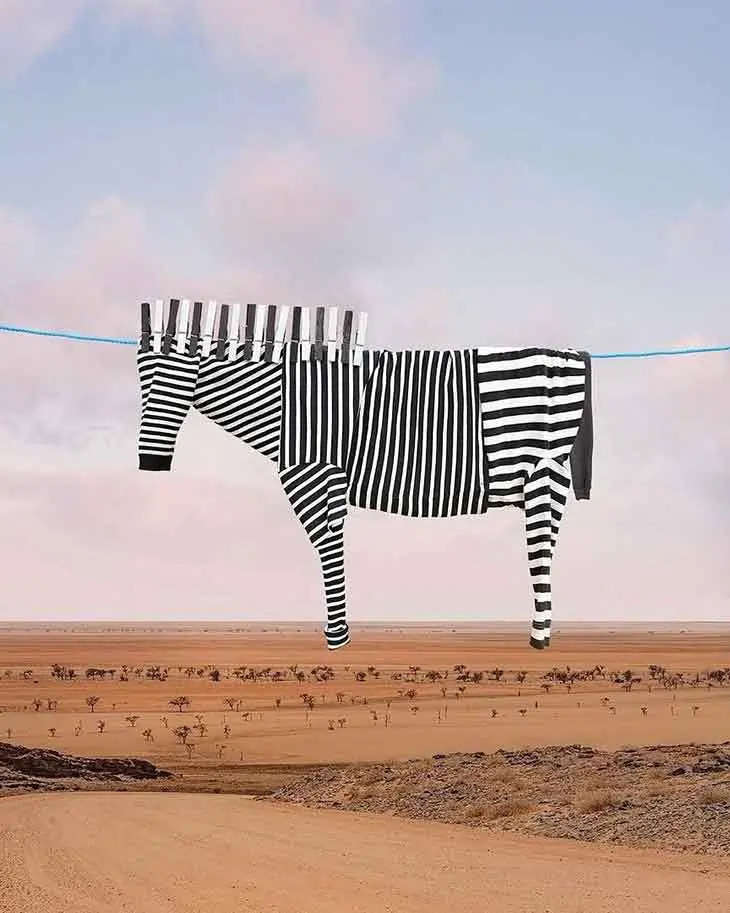 An artist creating unique art by transforming clothes into animal and bird shapes.