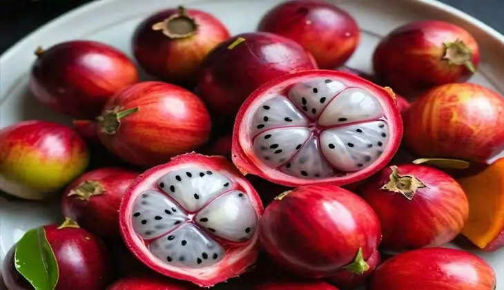 Health Benefits of Karonda Fruit