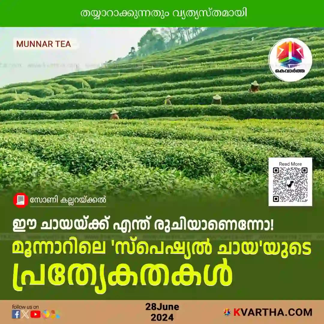 Munnar Tea