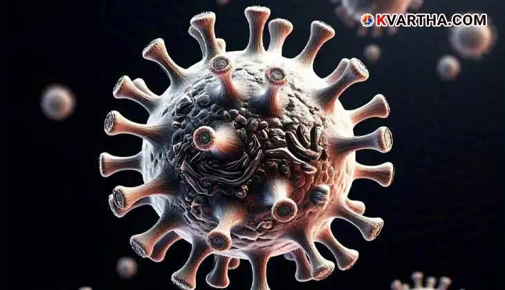  Illustration of HMPV virus affecting the respiratory system.