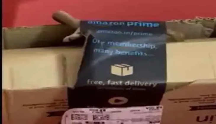 Snake in Amazon package: Bengaluru techie couple orders Xbox but get live cobra delivered. Company responds, Bengaluru, News, Amazon package, Cobra,  Bengaluru techie couple, Compalit, Allegation, Social Media, Video, National News