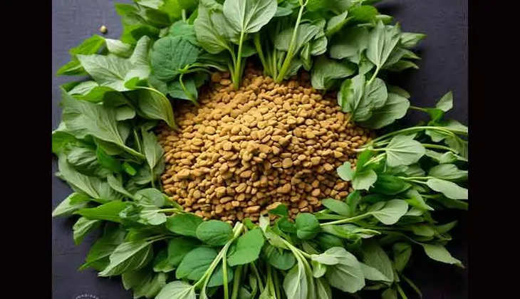 Fenugreek