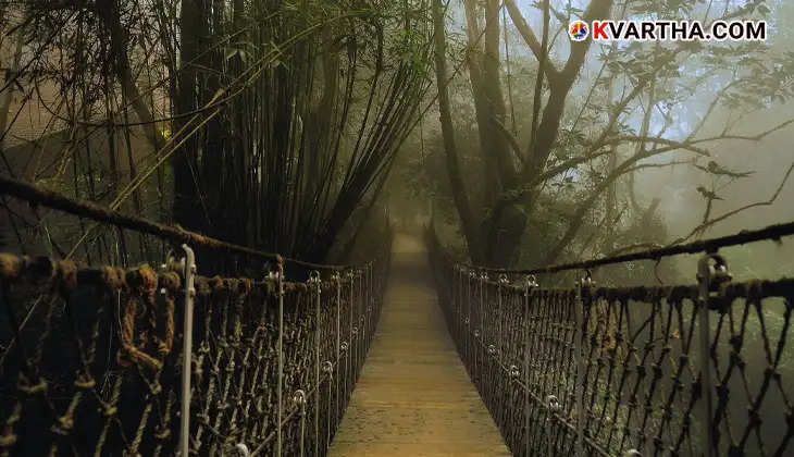  Tourist attractions in Wayanad, Kerala, nature and adventure