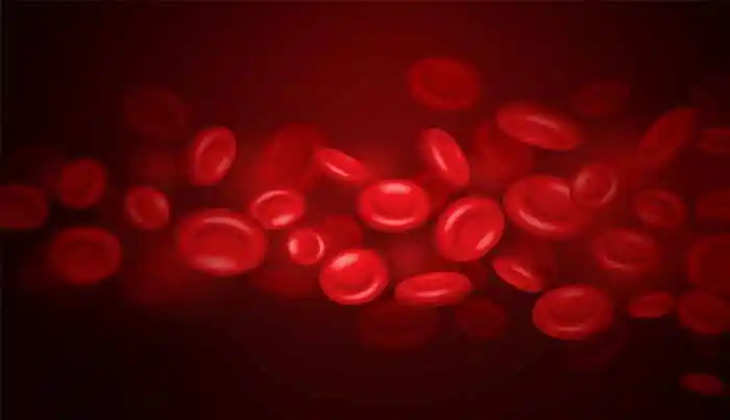 best 5 iron-rich foods to increase your hemoglobin count 