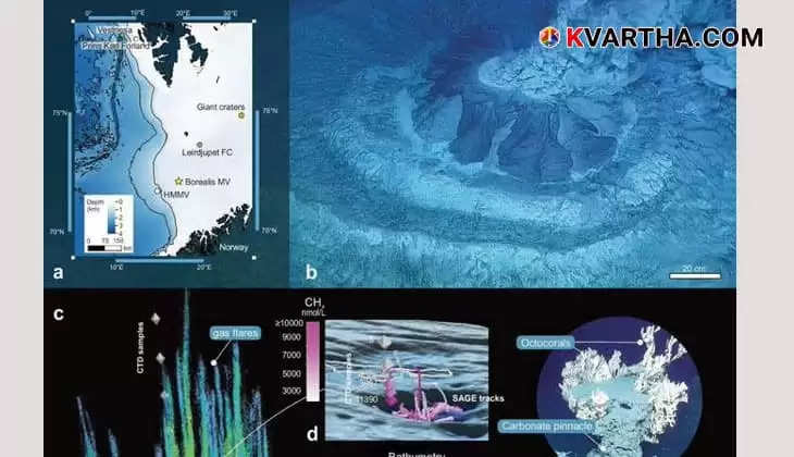 The Ecological Marvel of Borealis Mud Volcano