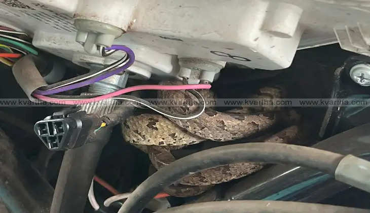 snake rescued from scooter in pattuvam