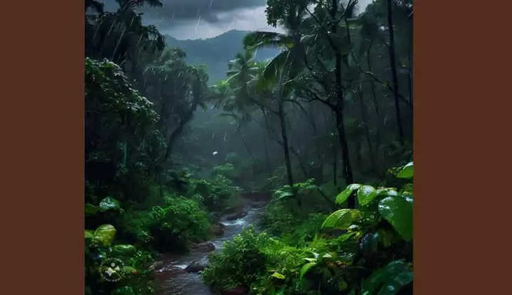 Kerala to witness rain in coming hours, Kerala Rain, Weather Alert, KSDMA.