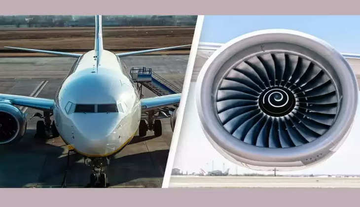 Person died after getting trapped in airplane engine at Netherlands airport, Person, Man Died, Getting Trapped, Airplane, Engine
